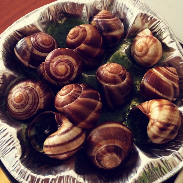 红酒焗蜗牛吃法(法国红酒焗蜗牛多少钱)