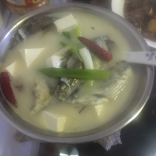 黑鱼汤