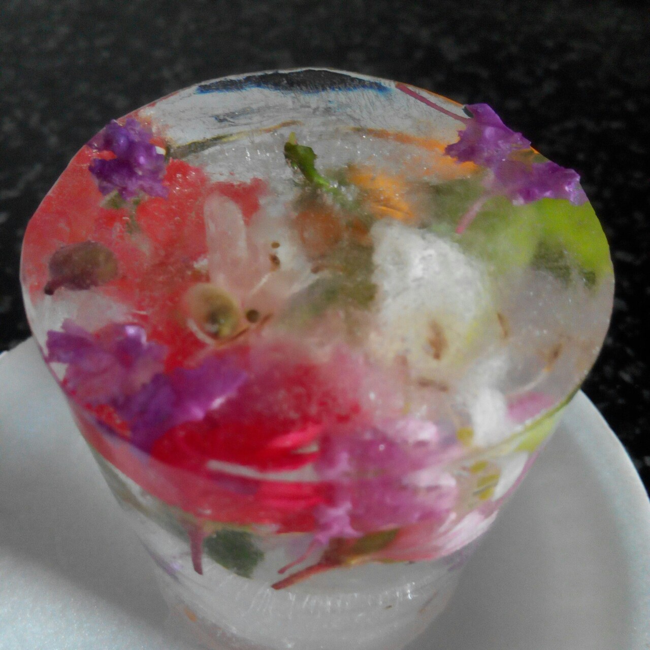 花花草草的世界