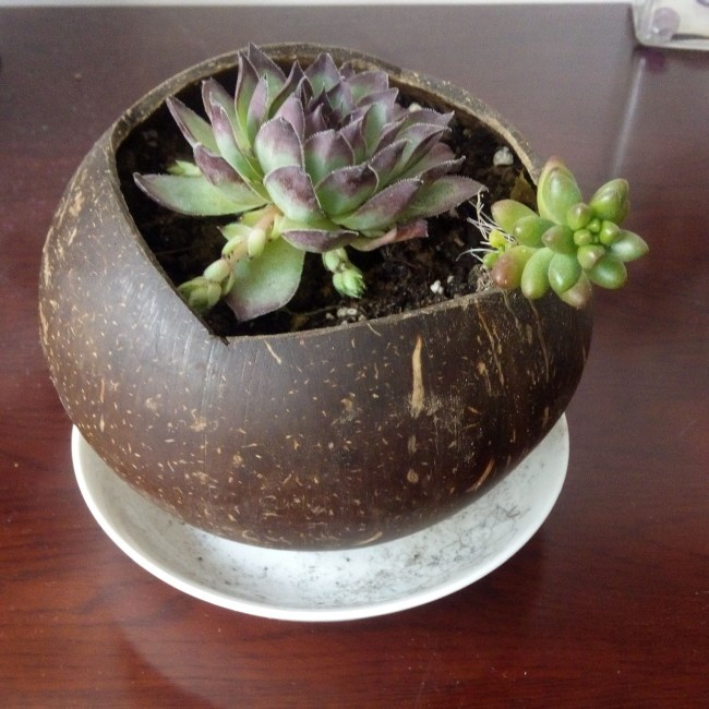 燕南飞100