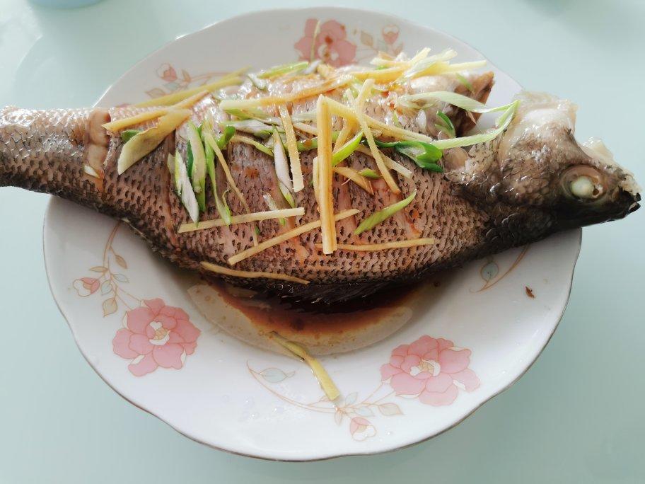 清蒸鲈鱼