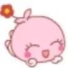 感恩Kitty