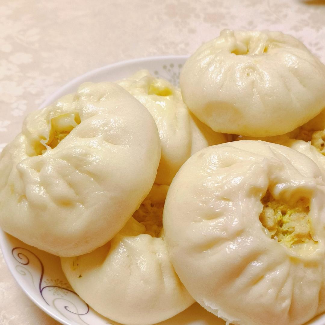 一次发酵肉包子