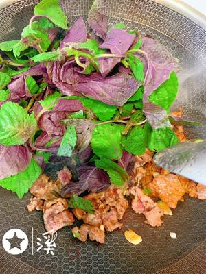 紫苏叶炒牛肉的做法 步骤4