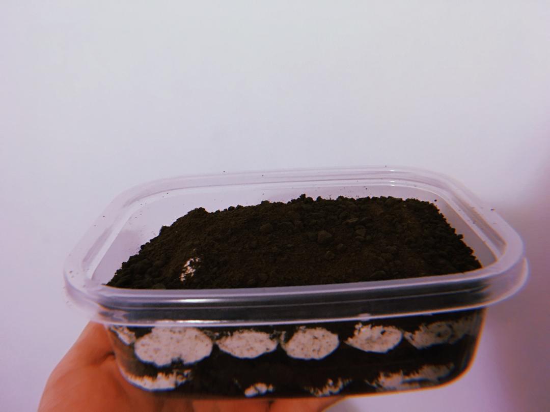 好吃到流泪的奥利奥咸奶油盒子蛋糕