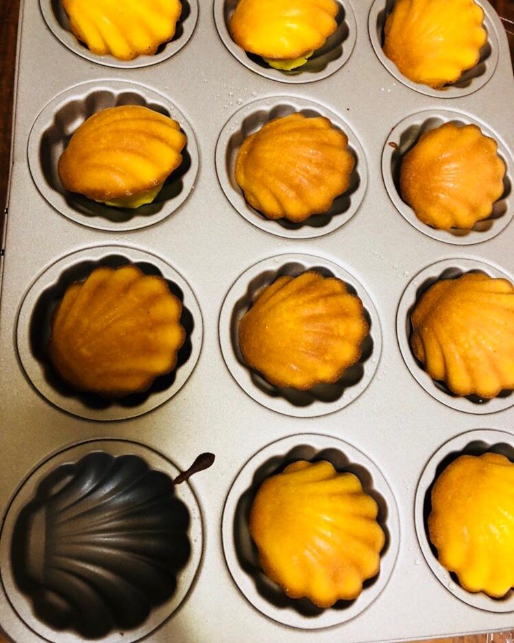 玛德琳（蓝带方）