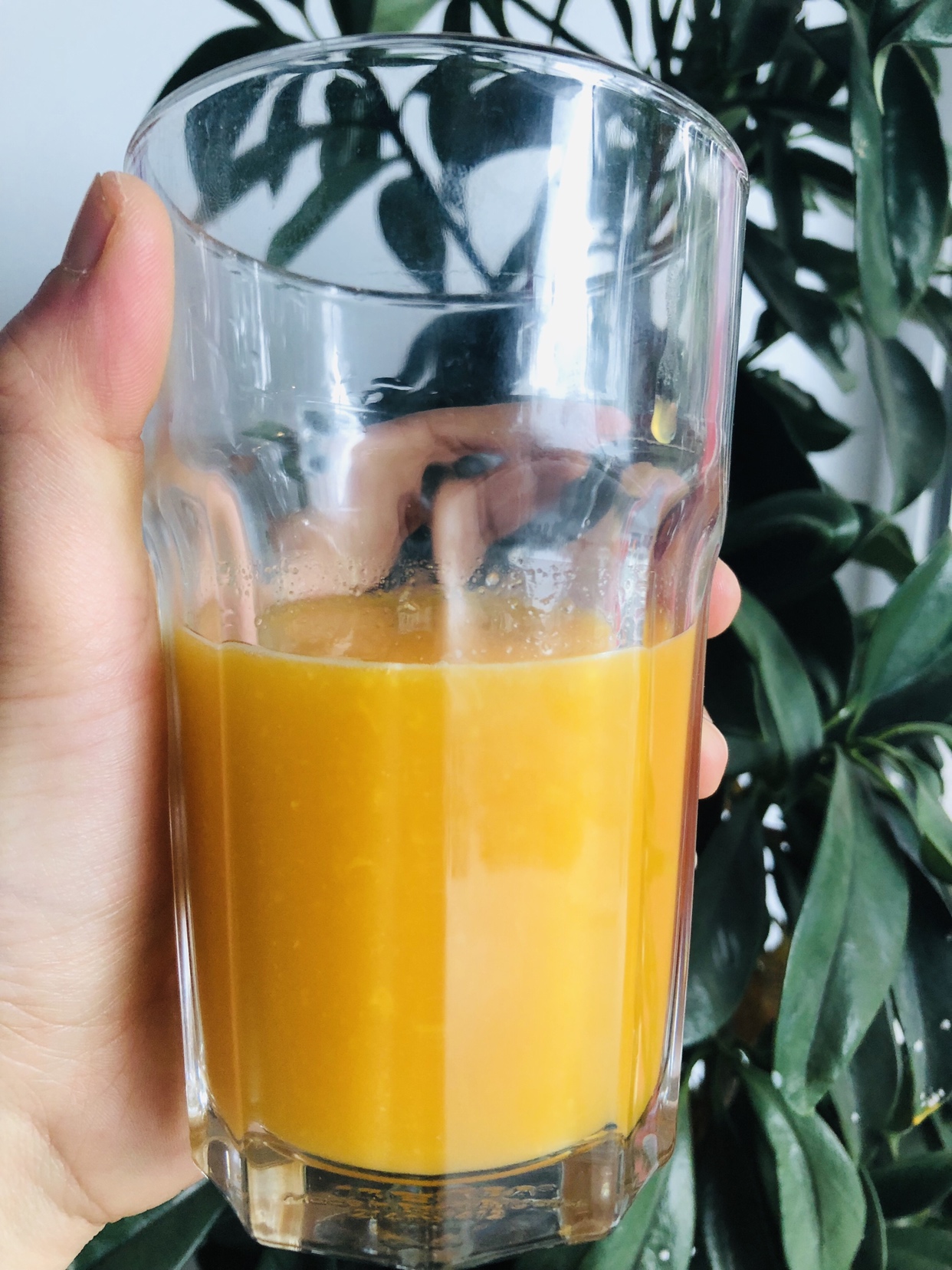 香橙酸奶慕斯杯的做法 步骤1