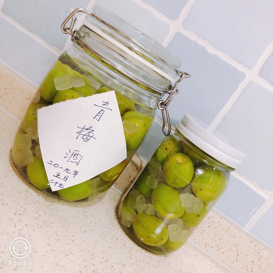 【青梅酒】梅子的沉醉时光（已填坑）