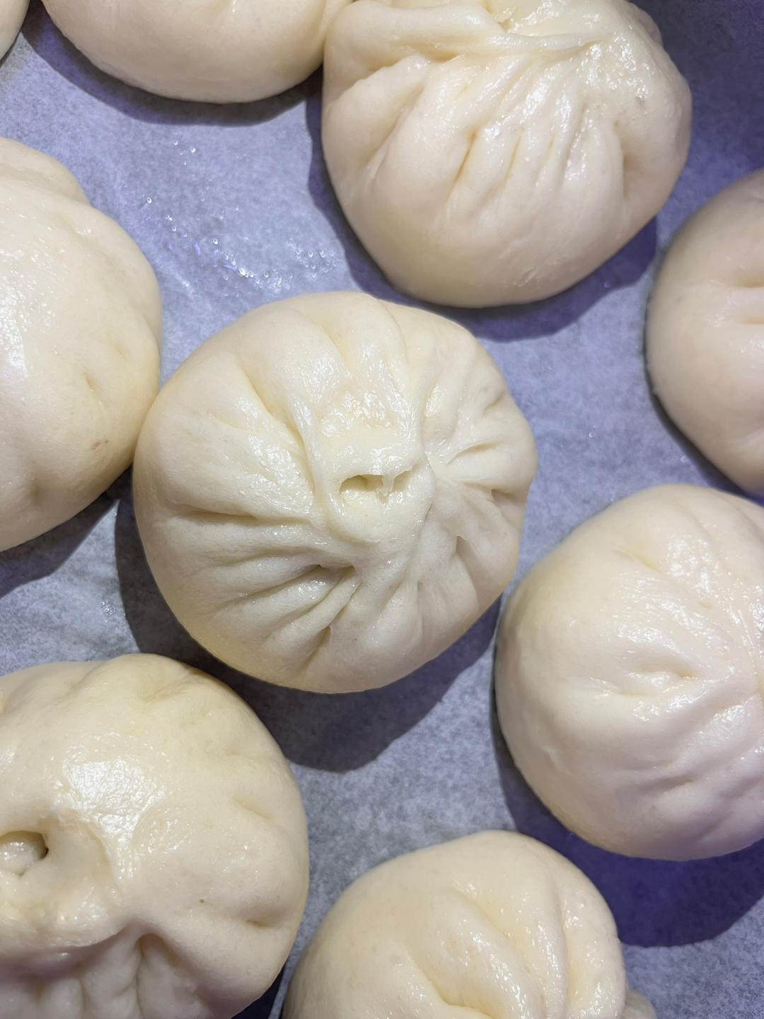 超好吃有豆豆的豆沙包，一次发酵（红豆包）