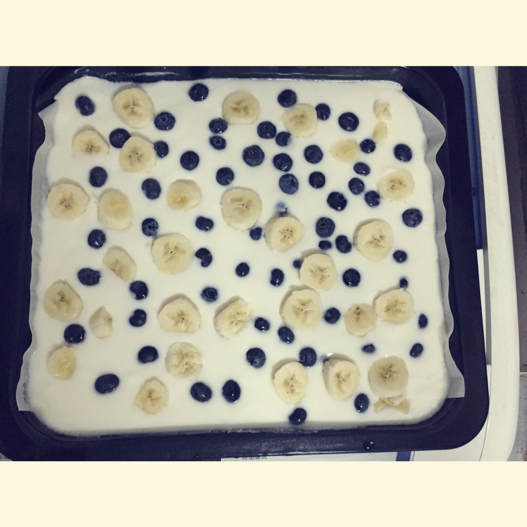 酸奶水果薄脆Yogurt Fruits Bar