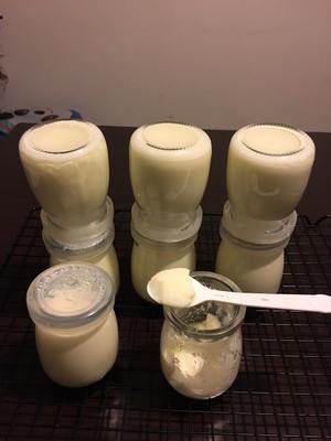 奶粉做酸奶（电炖锅版）的做法 步骤7