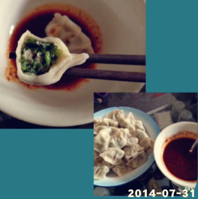 茴香饺子
