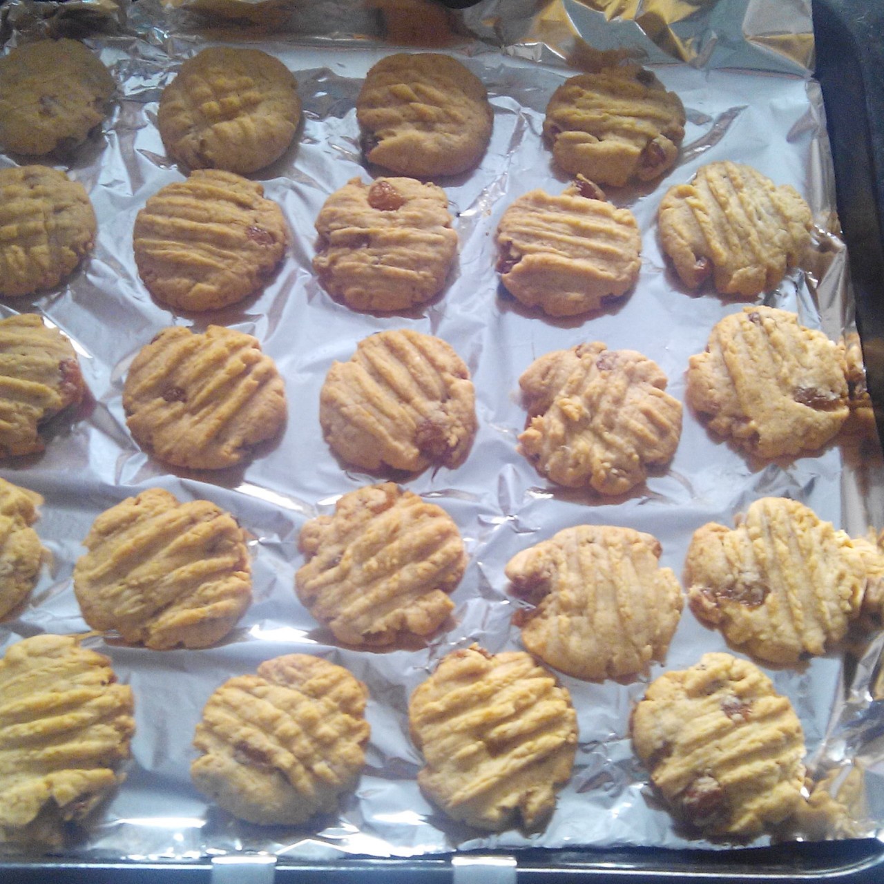 （无黄油）健康奶香提子酥饼