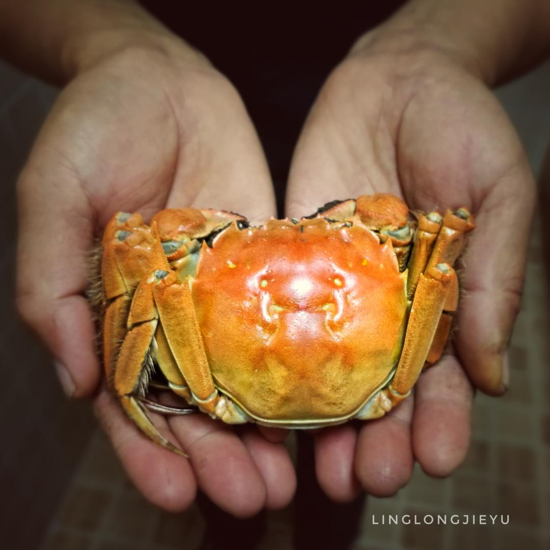 无水蒸螃蟹的做法