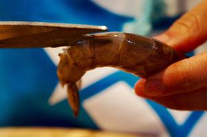香到舔盘的油焖大虾（详解如何清理好一只虾）的做法 步骤8