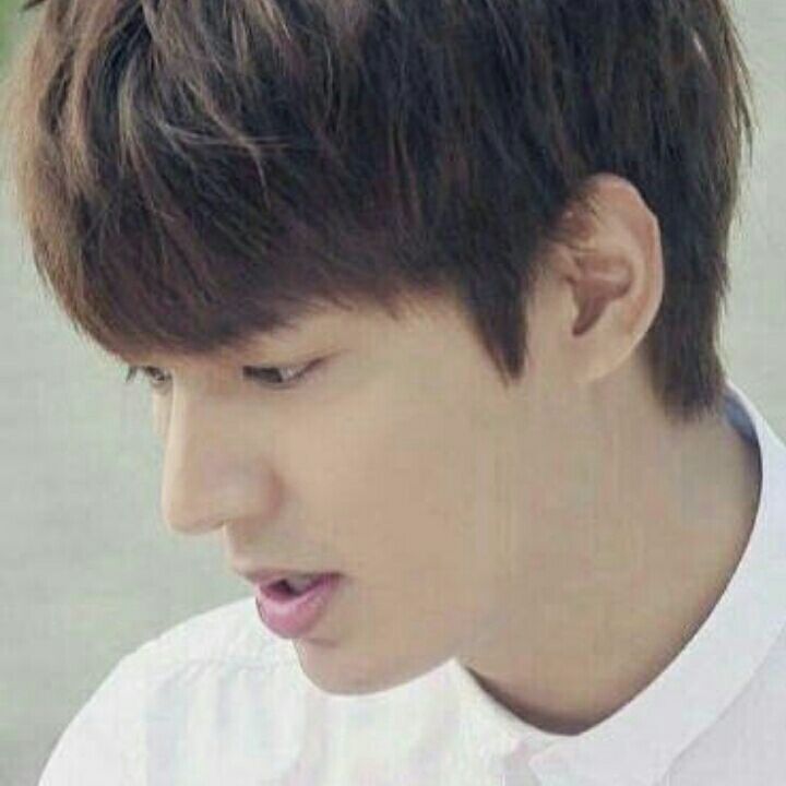 那个她-那个小兔几