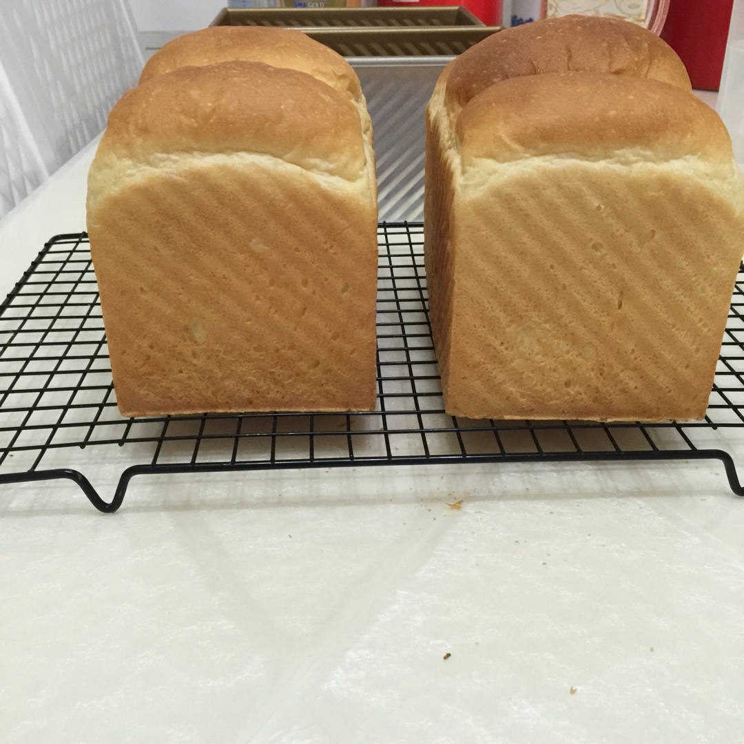 波兰酵头酸奶吐司（橄榄油版）