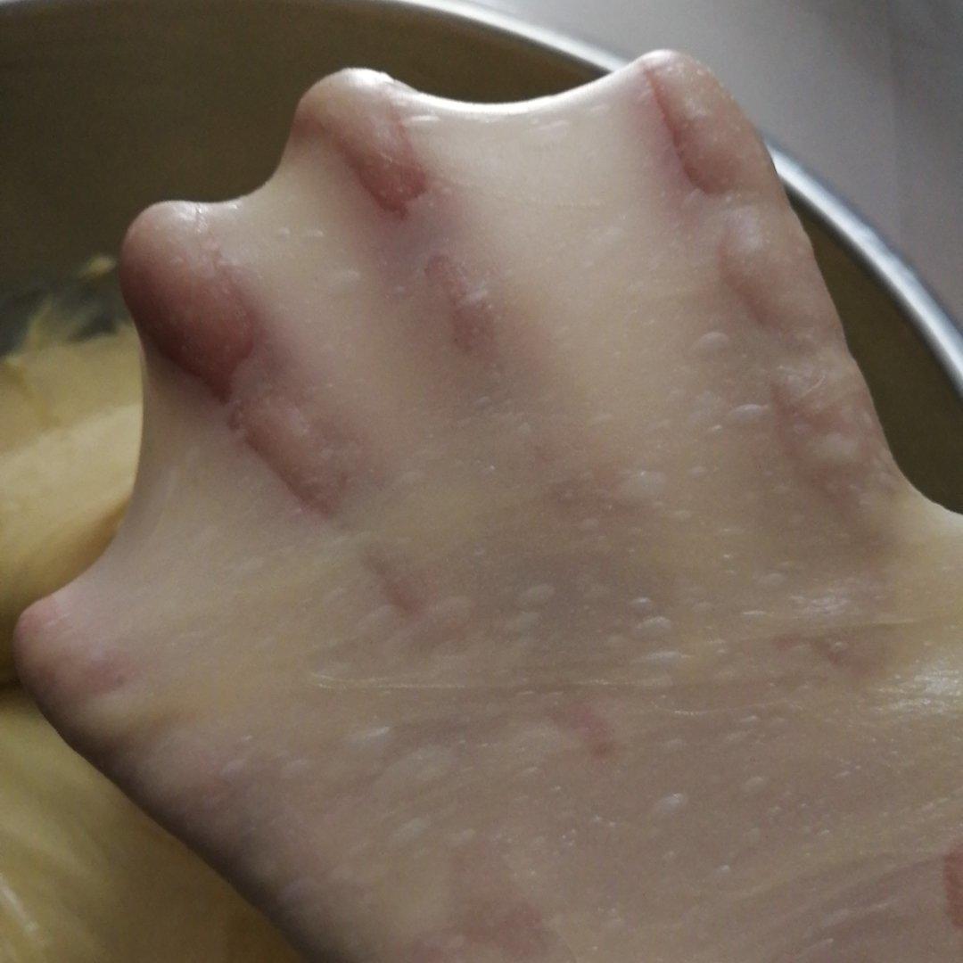 手套膜 厨师机手套膜 附专业软文知识 －完美手套膜附视频