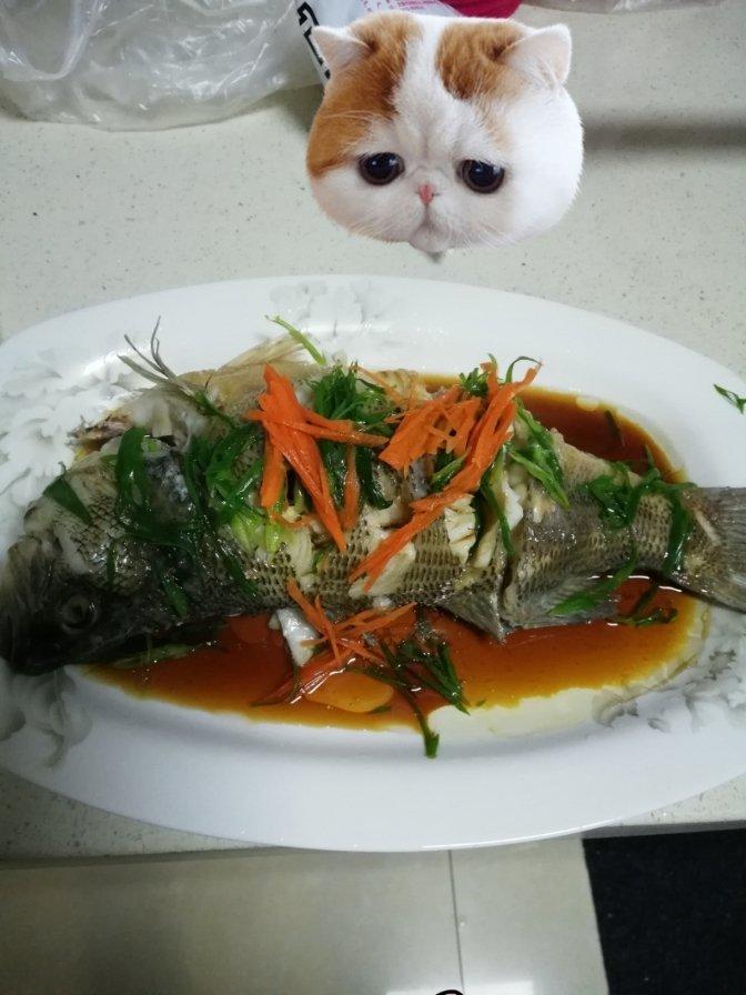 新手零失败的清蒸鲈鱼
