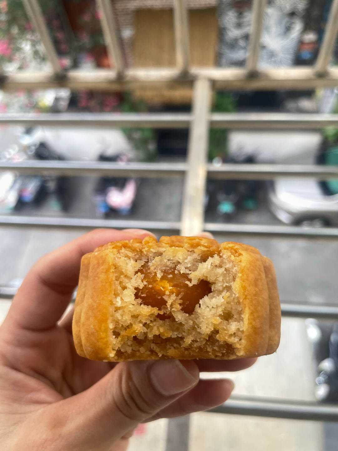 椰蓉月饼 | 椰香浓郁 不干不腻