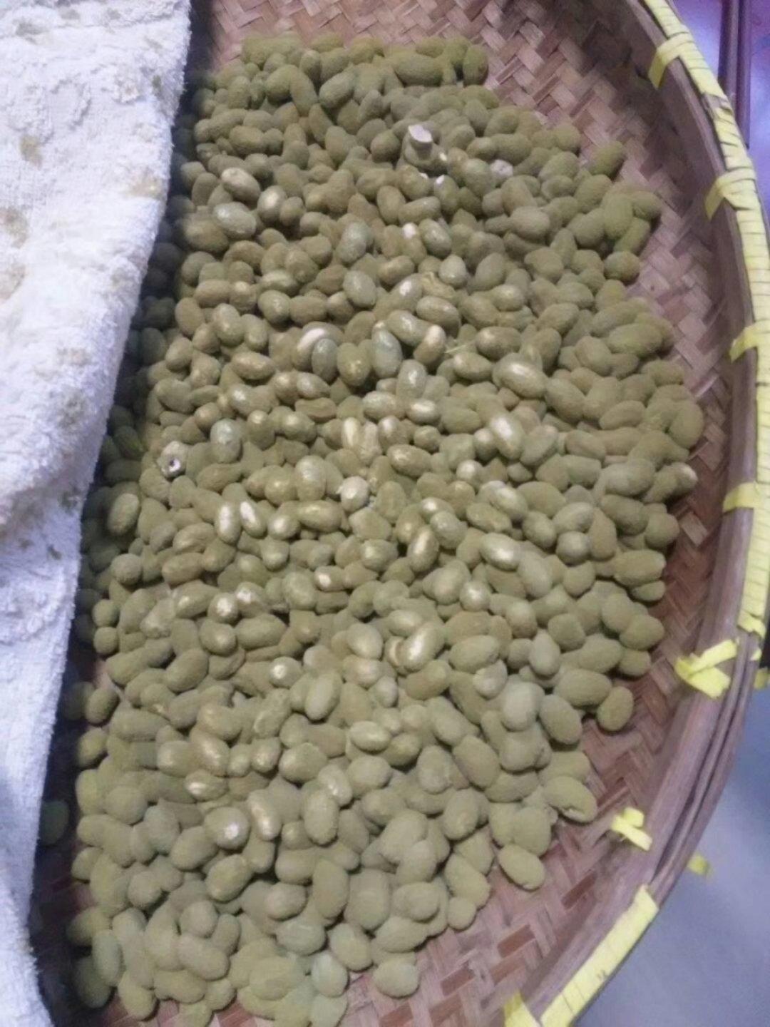 自制黄豆酱-酱香味浓