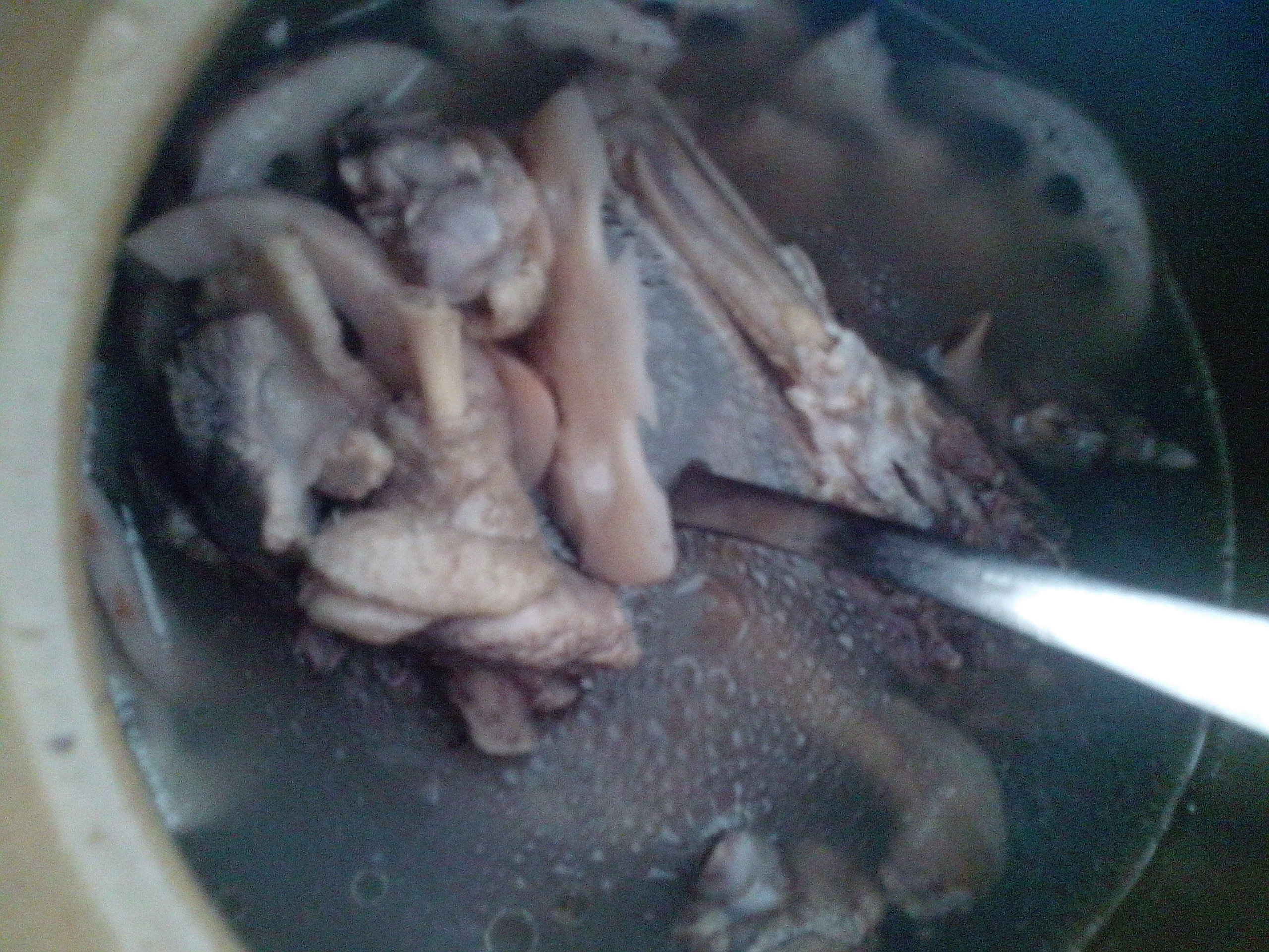 莲藕煲鸭汤