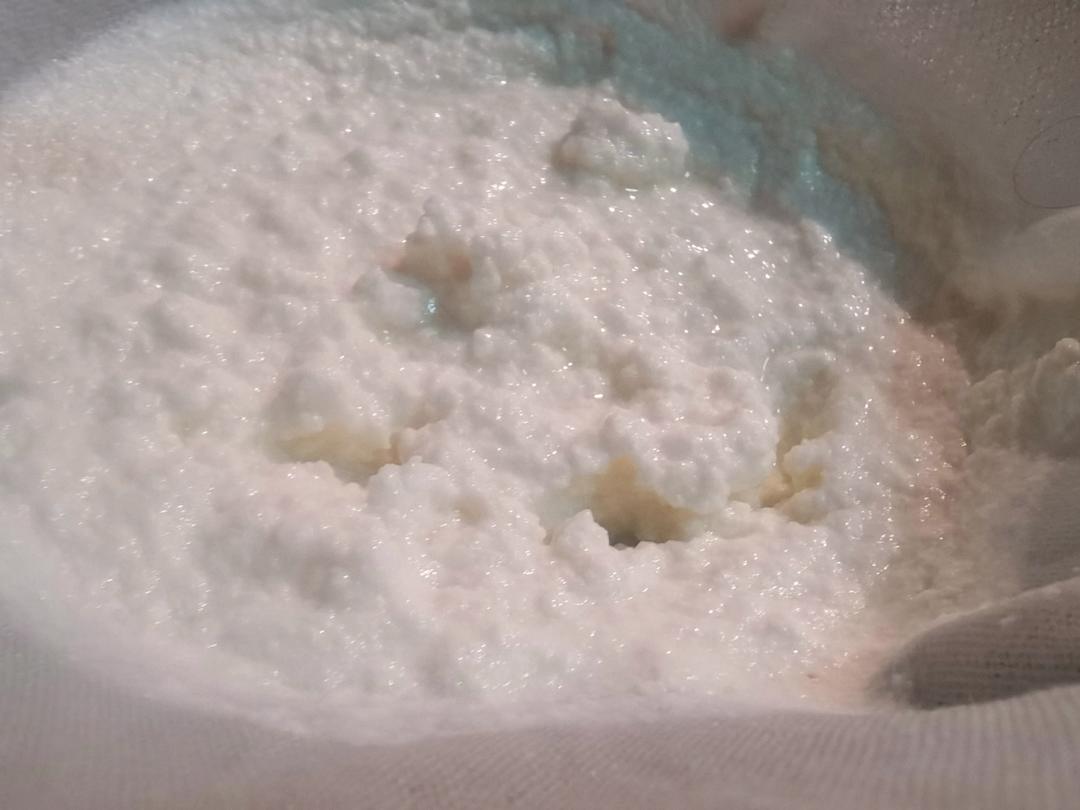 自制奶酪-小美版