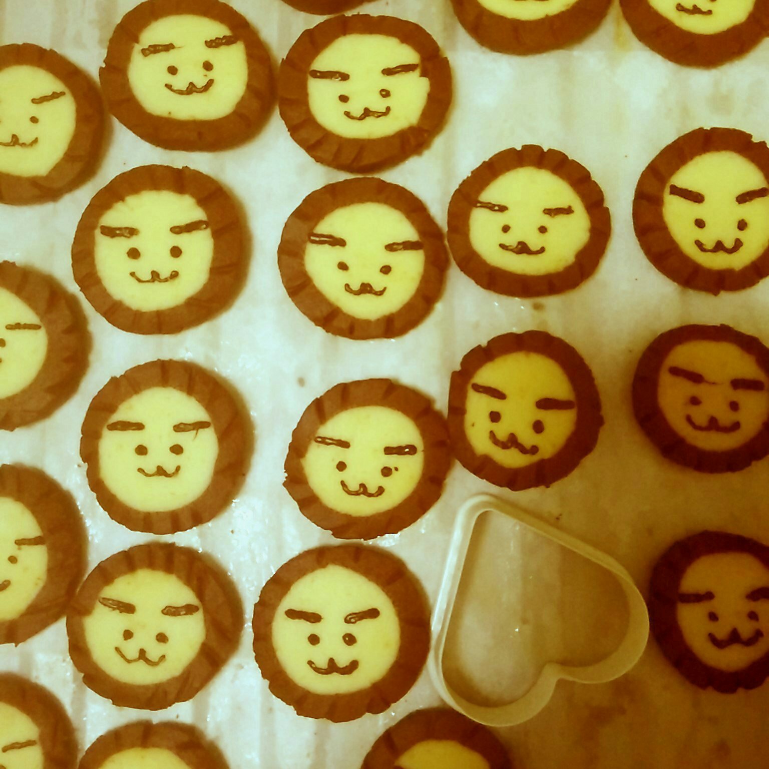 萌哭了的可可狮子饼干