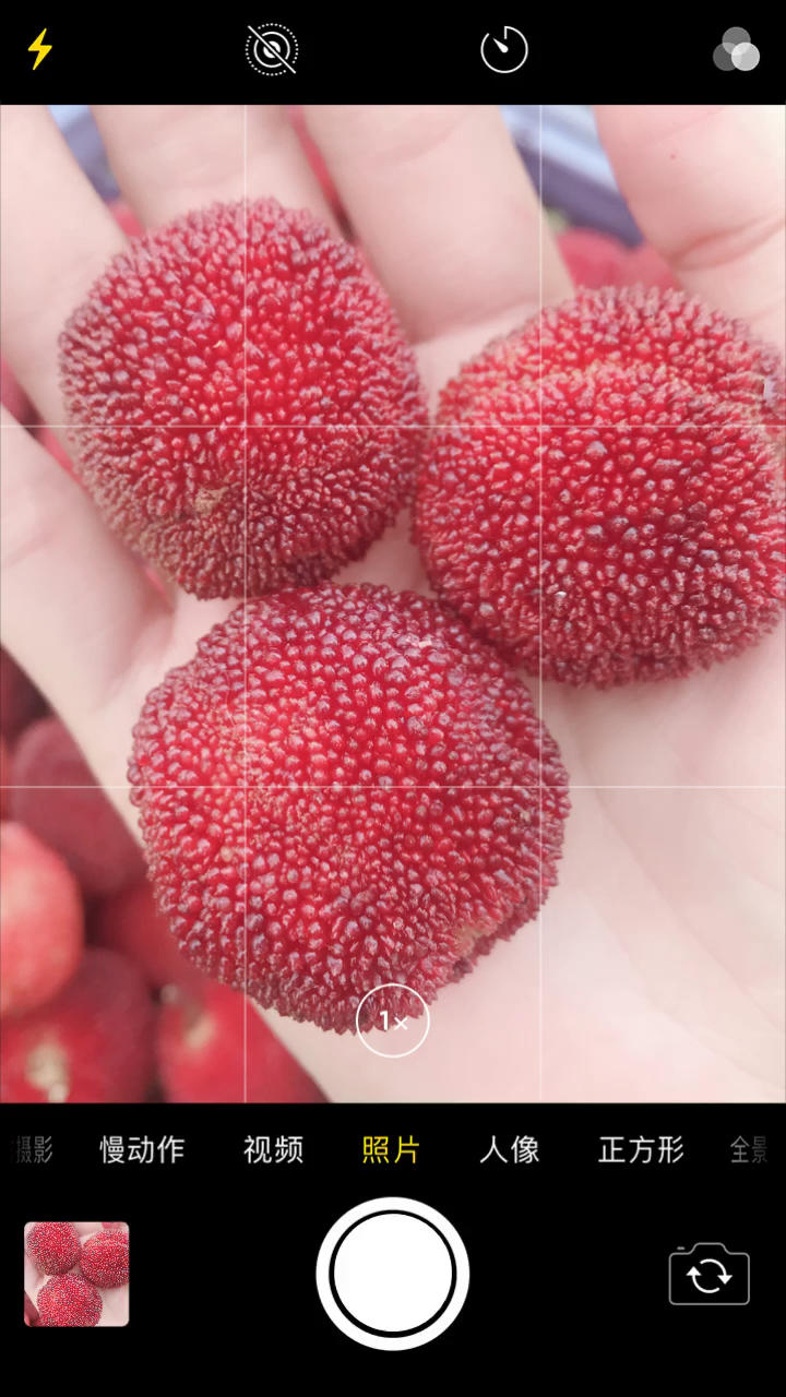 酸甜杨梅干