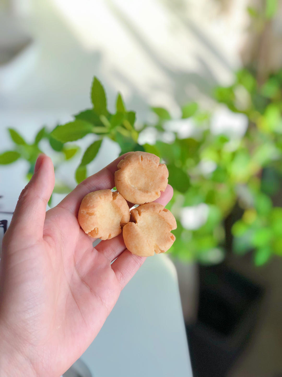 酥到不敢碰的原味玛格丽特饼干，入口即化酥掉渣，做法超简单新手必学的做法 步骤9