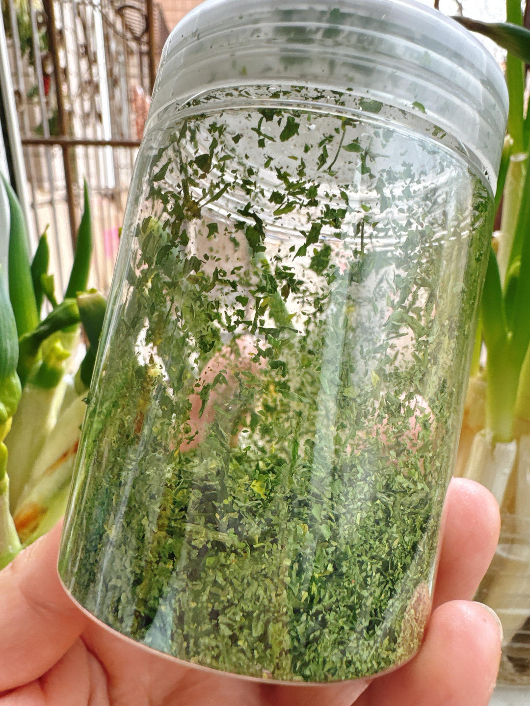 芹菜叶变欧芹碎