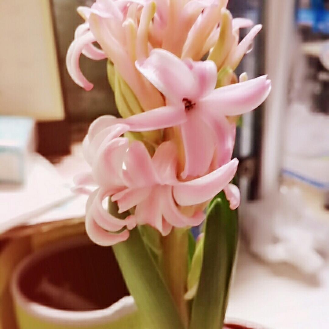婉儿爱吃肉