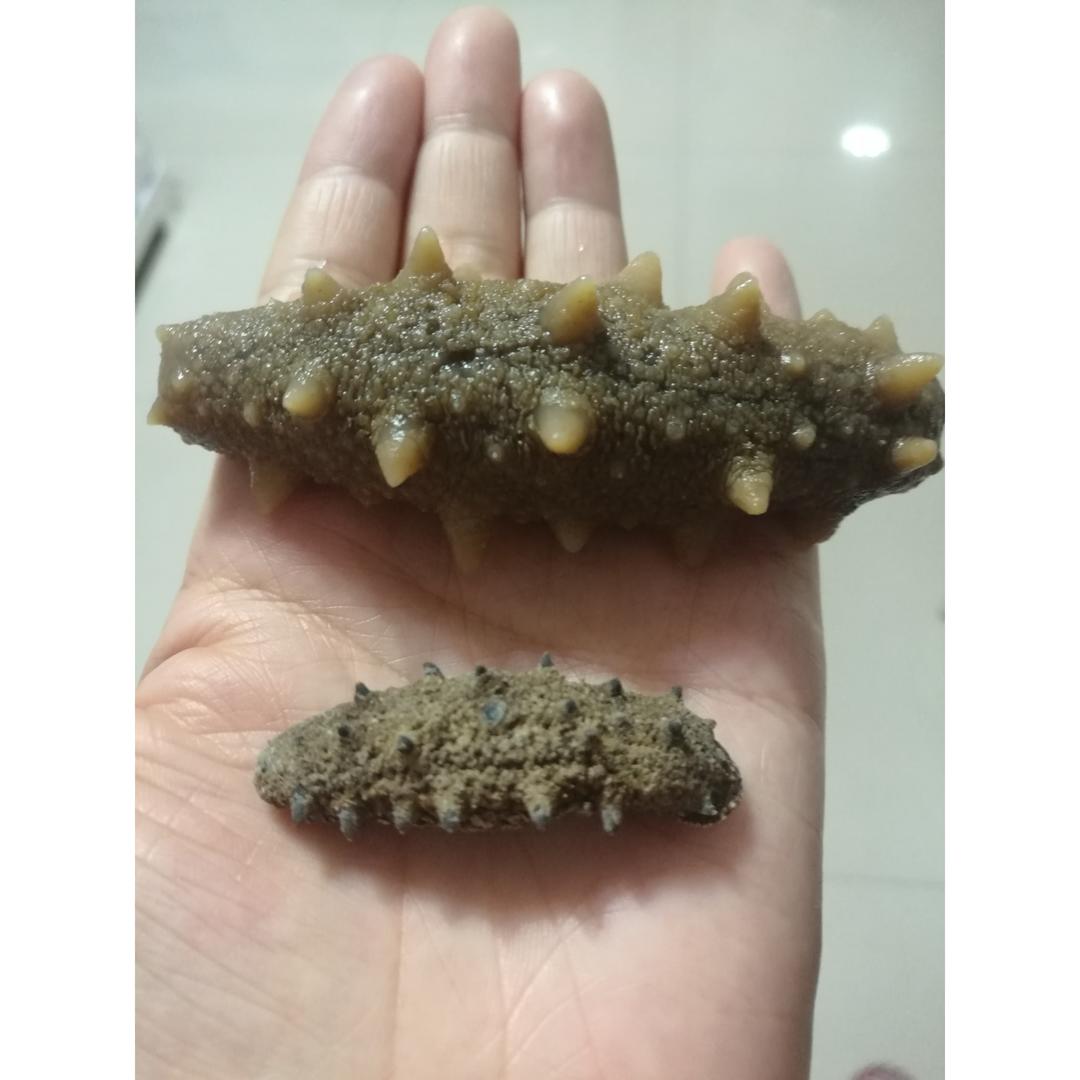 堂妈教你发海参