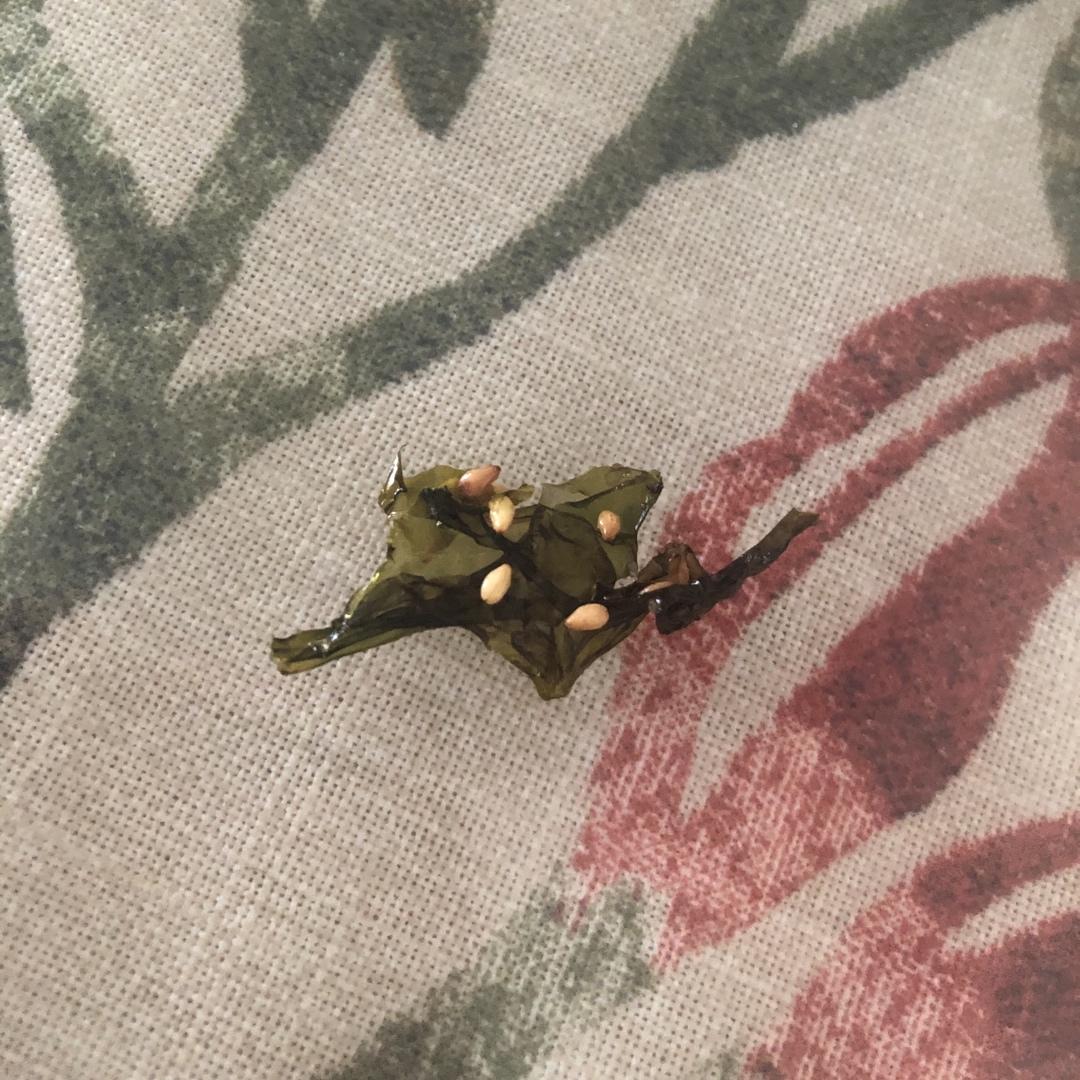 宝宝辅食：拌饭芝麻海苔-12M+