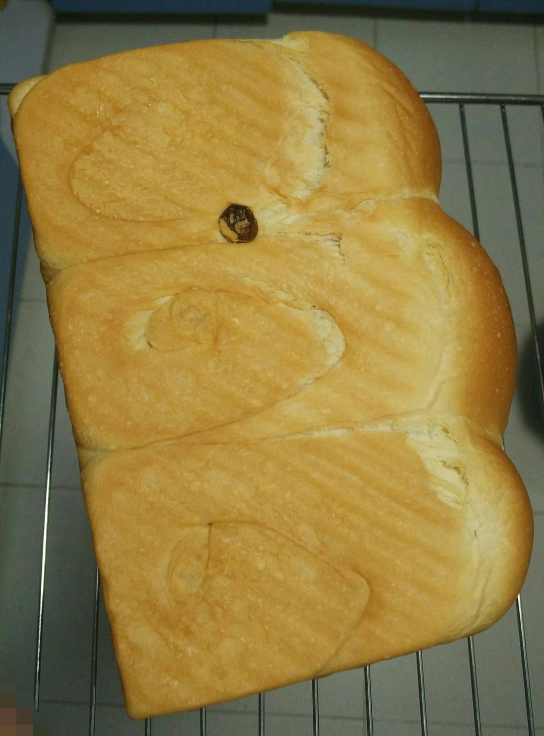 夺命软吐司(๑´ڡ`๑)超软拉丝极速方便的一次发酵吐司