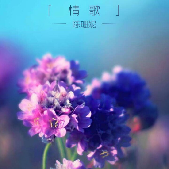 阳光咖啡的最美时光