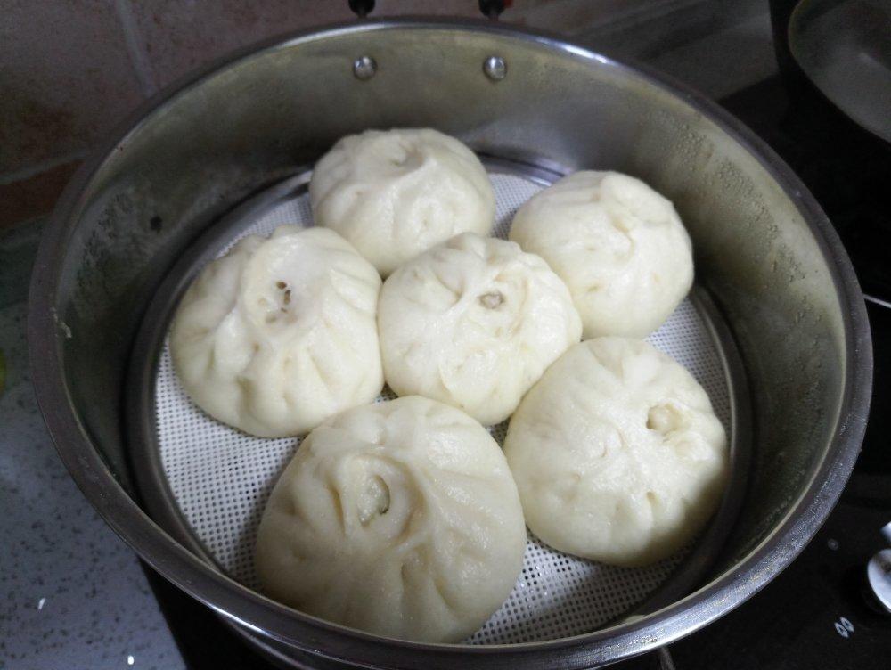 猪肉包子（附视频。一次性发酵。）