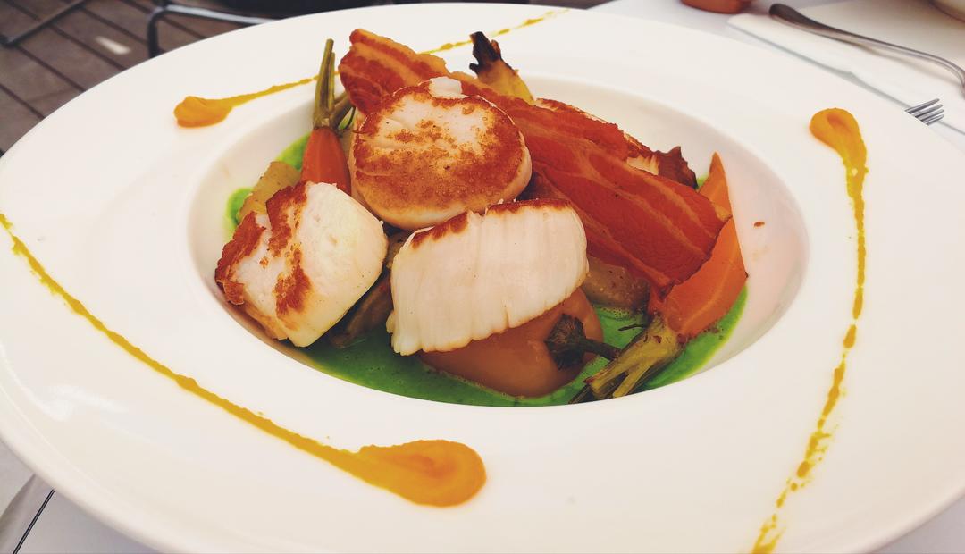 法式白酱煎扇贝【山姆厨房】