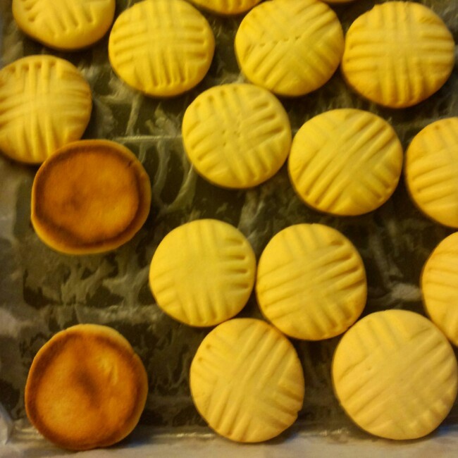 牛奶饼干