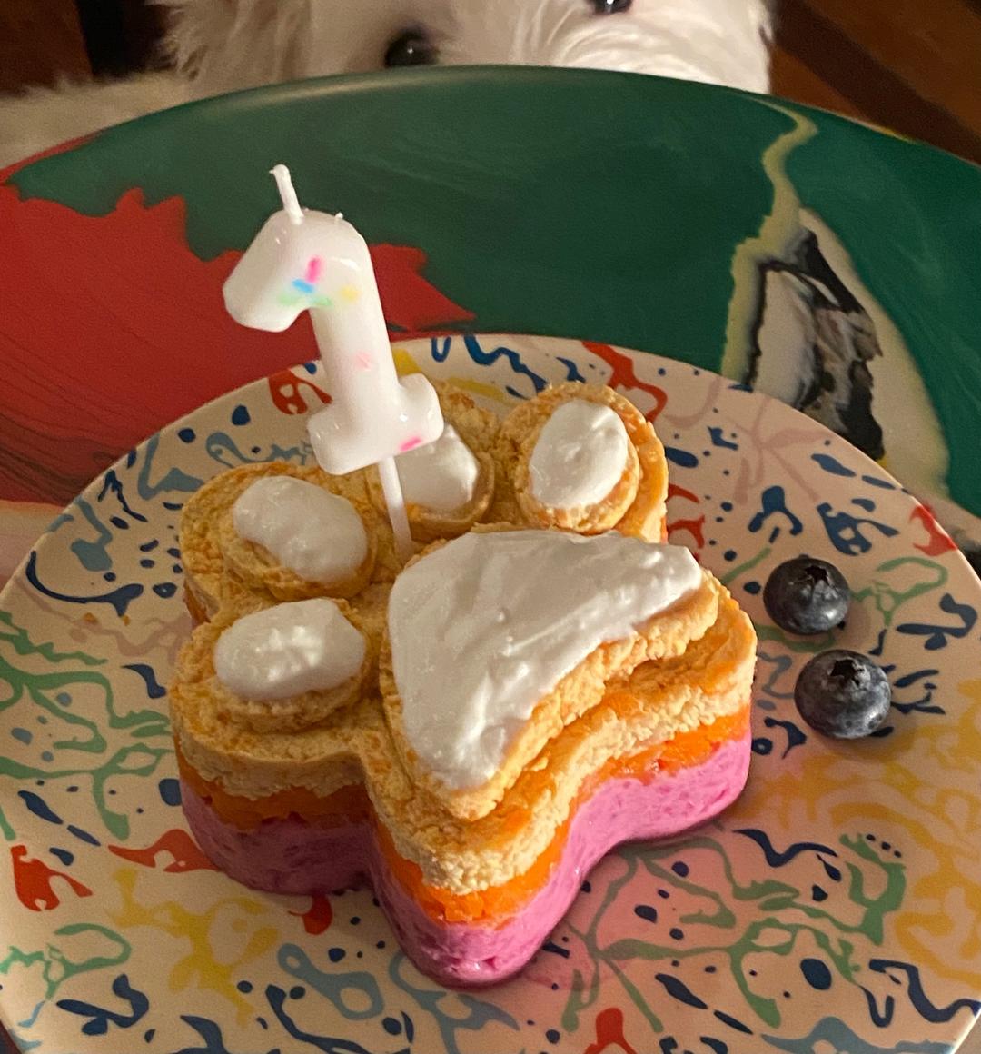 狗狗的健康无谷生日蛋糕的做法