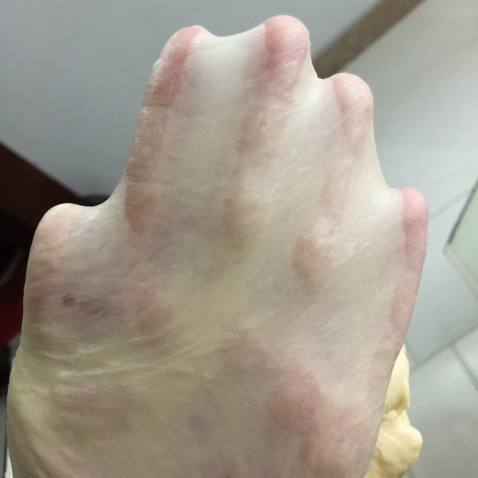 毛毛虫肉松面包