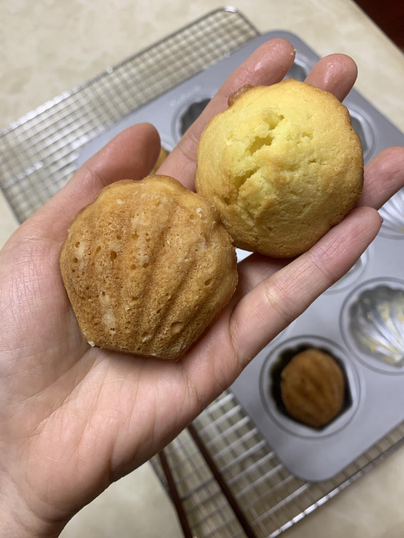 玛德琳蛋糕