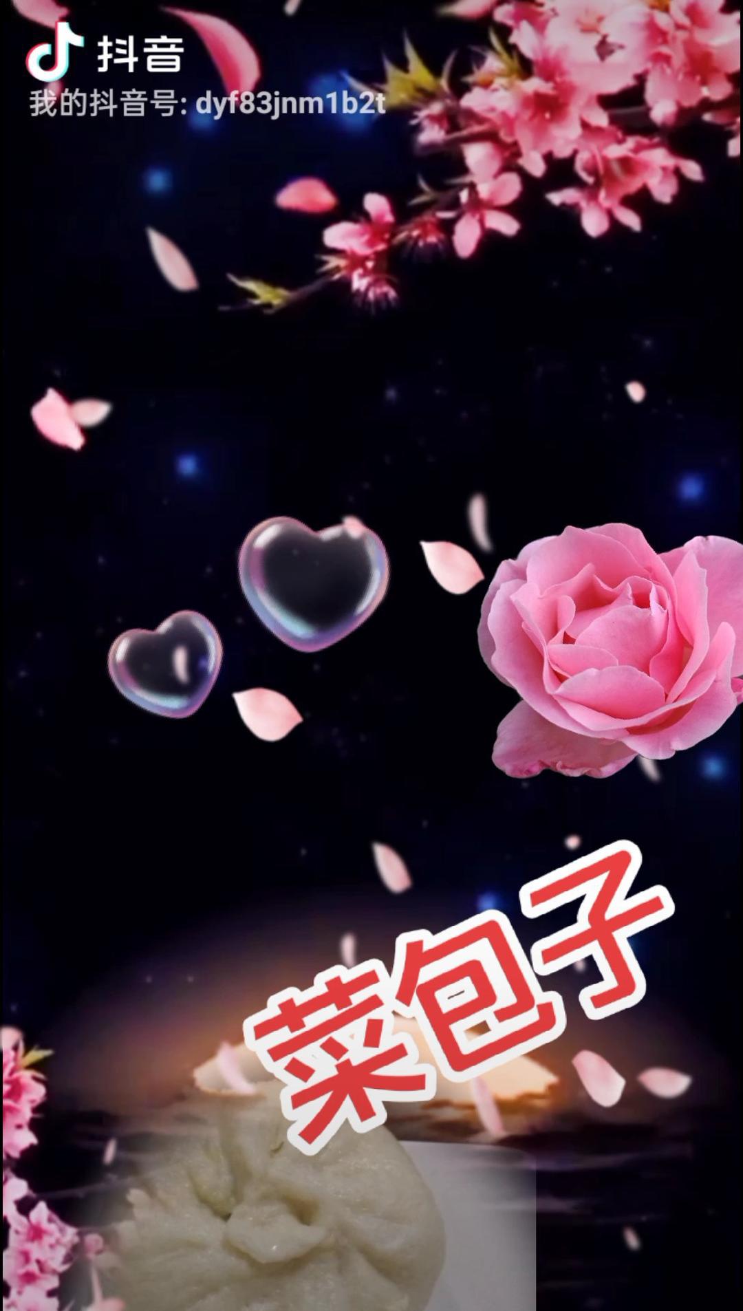 节省一半时间的大包子（另付翠绿菜包子，肉包子，腹黑包子食谱）