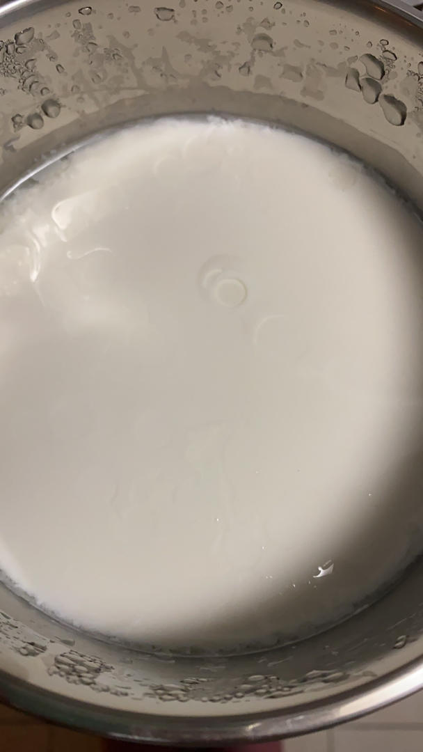 小熊酸奶机自制酸奶