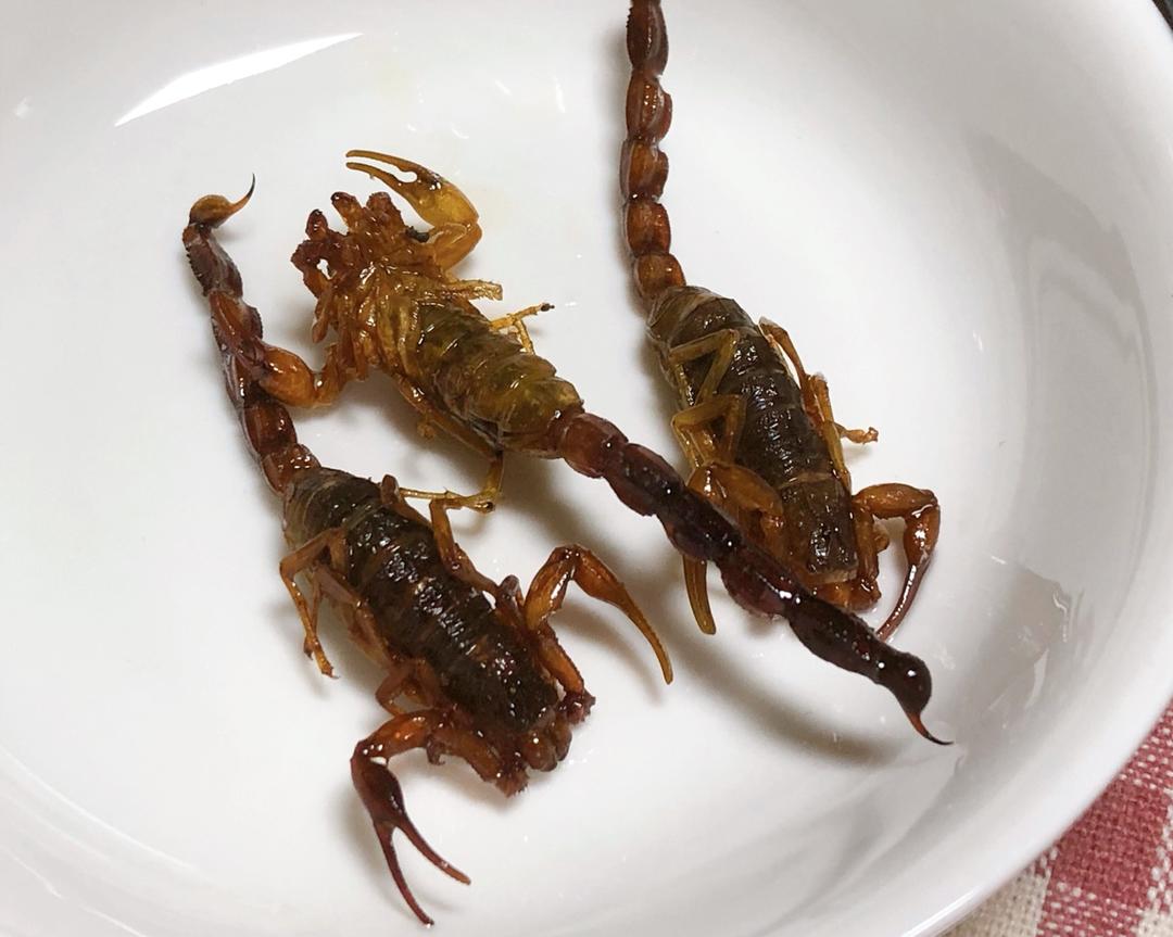 炸蝎子🦂 家常快手菜的做法