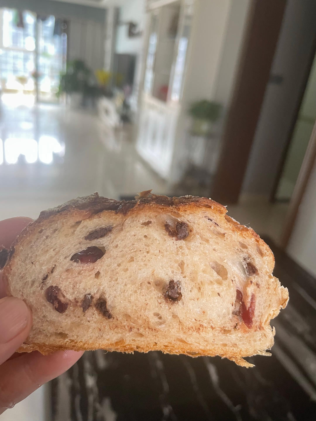 全麦巧克力橙皮软欧