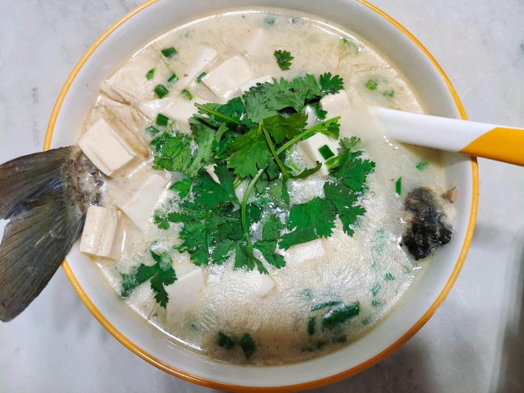 奶白鲫鱼豆腐汤|一条鱼最后的温柔