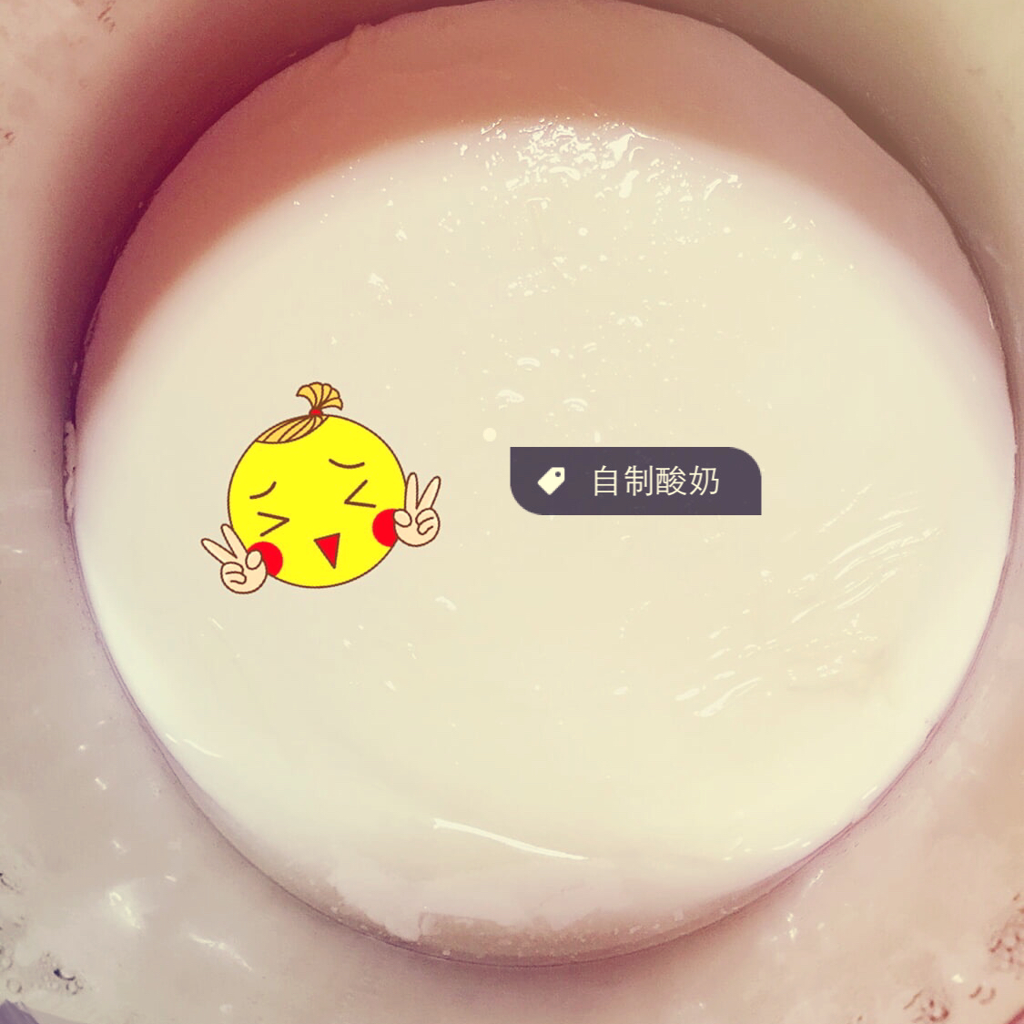 自制酸奶