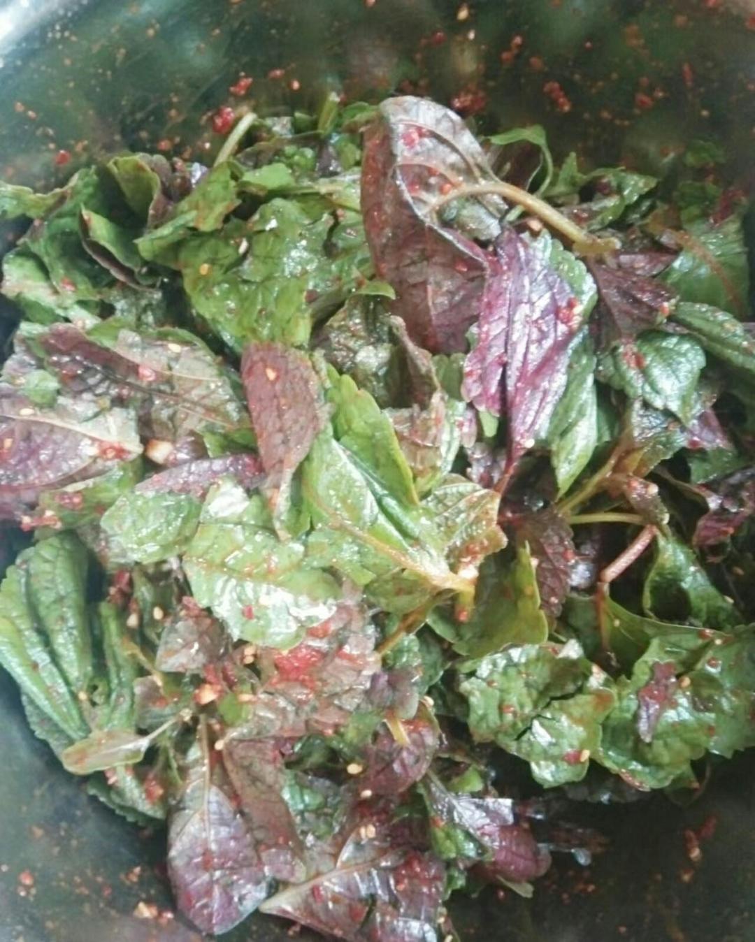 朝鲜族风味【拌苏子叶苗】
