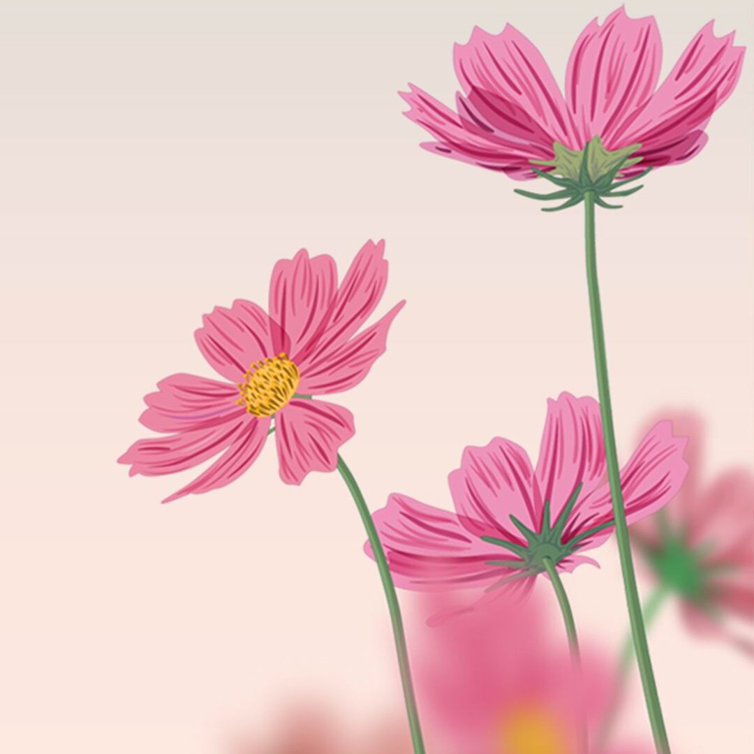 面条面条我爱吃